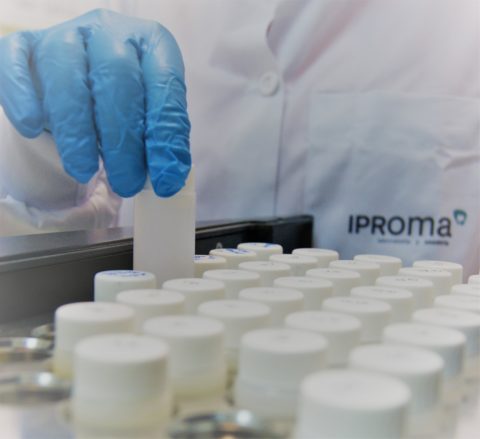 IPROMA renueva la certificación de su sistema de gestión de la I+D+i
